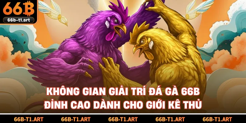 Không Gian Giải Trí Đá Gà 66B  Đỉnh Cao Dành Cho Giới Kê Thủ